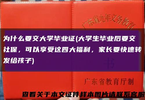 為什么要交大學畢業證(大學生畢業后要交社保，可以享受這四大福利，家長要快速轉發給孩子)縮略圖
