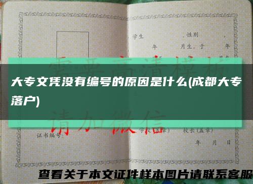 大專文憑沒有編號的原因是什么(成都大專落戶)縮略圖