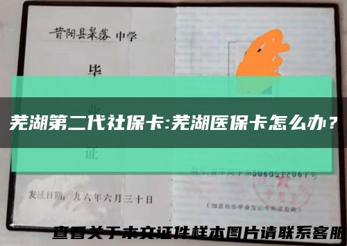 蕪湖第二代社?？?蕪湖醫?？ㄔ趺崔k？縮略圖