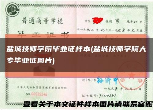 鹽城技師學院畢業證樣本(鹽城技師學院大專畢業證圖片)縮略圖