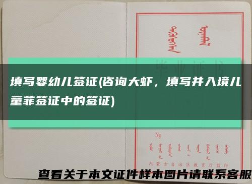 填寫嬰幼兒簽證(咨詢大蝦，填寫并入境兒童菲簽證中的簽證)縮略圖