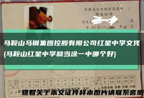 馬鞍山馬鋼集團控股有限公司紅星中學文憑(馬鞍山紅星中學和當涂一中哪個好)縮略圖