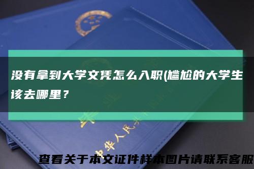 沒有拿到大學文憑怎么入職(尷尬的大學生該去哪里？縮略圖