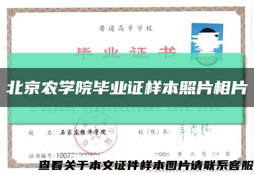 北京農學院畢業證樣本照片相片縮略圖