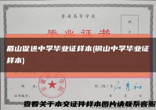 眉山促進中學畢業證樣本(銅山中學畢業證樣本)縮略圖