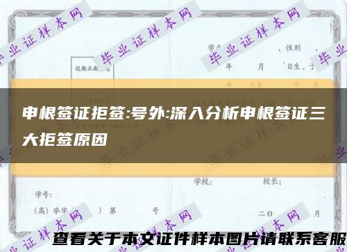 申根簽證拒簽:號外:深入分析申根簽證三大拒簽原因縮略圖