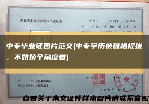 中專畢業證圖片范文(中專學歷被破格提拔，不妨換個角度看)縮略圖