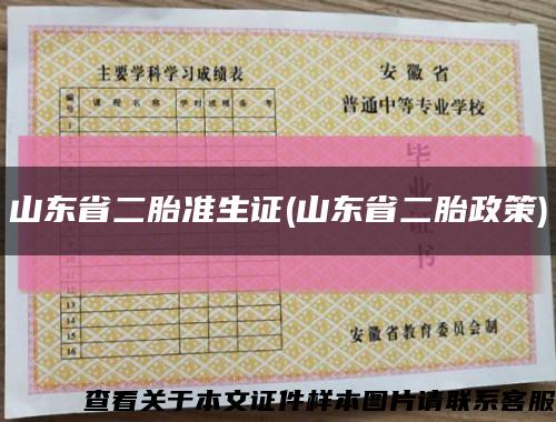 山東省二胎準生證(山東省二胎政策)縮略圖