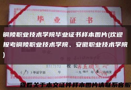 銅陵職業技術學院畢業證書樣本圖片(歡迎報考銅陵職業技術學院、安徽職業技術學院)縮略圖