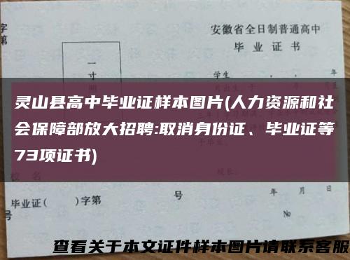 靈山縣高中畢業證樣本圖片(人力資源和社會保障部放大招聘:取消身份證、畢業證等73項證書)縮略圖