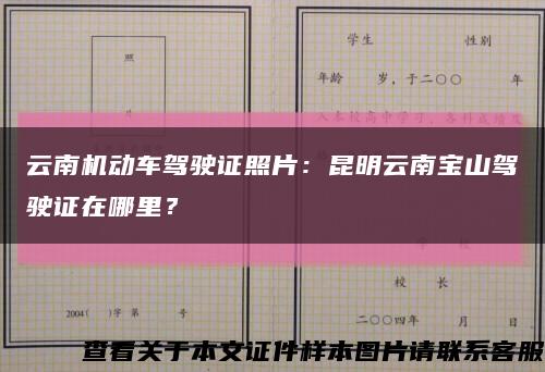 云南機動車駕駛證照片：昆明云南寶山駕駛證在哪里？縮略圖