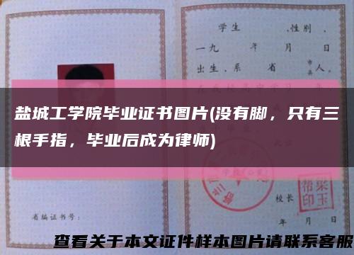 鹽城工學院畢業證書圖片(沒有腳，只有三根手指，畢業后成為律師)縮略圖