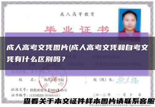 成人高考文憑圖片(成人高考文憑和自考文憑有什么區別嗎？縮略圖