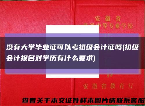 沒有大學畢業證可以考初級會計證嗎(初級會計報名對學歷有什么要求)縮略圖