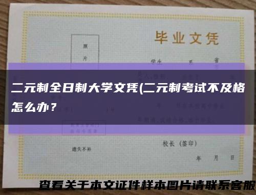 二元制全日制大學文憑(二元制考試不及格怎么辦？縮略圖