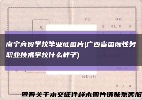 南寧商貿學校畢業證圖片(廣西省國際性務職業技術學校什么樣子)縮略圖