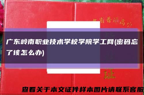 廣東嶺南職業技術學校學院學工網(密碼忘了該怎么辦)縮略圖