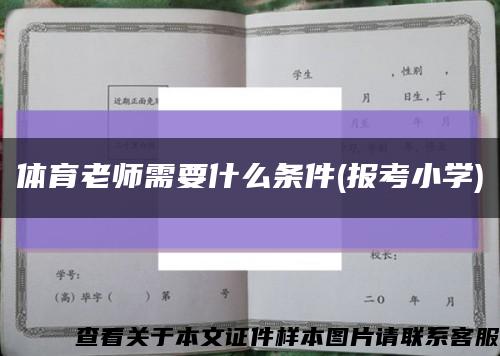 體育老師需要什么條件(報考小學)縮略圖