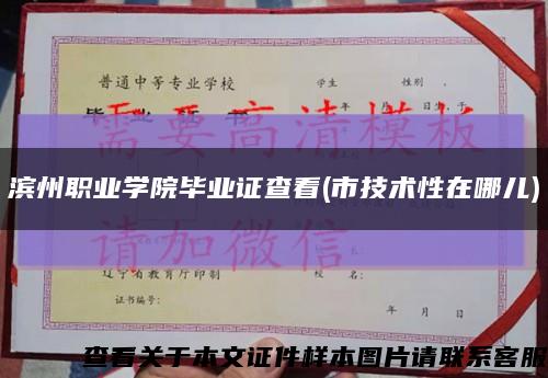濱州職業學院畢業證查看(市技術性在哪兒)縮略圖