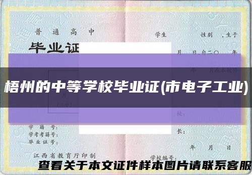 梧州的中等學校畢業證(市電子工業)縮略圖