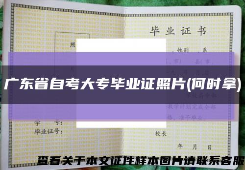 廣東省自考大專畢業證照片(何時拿)縮略圖