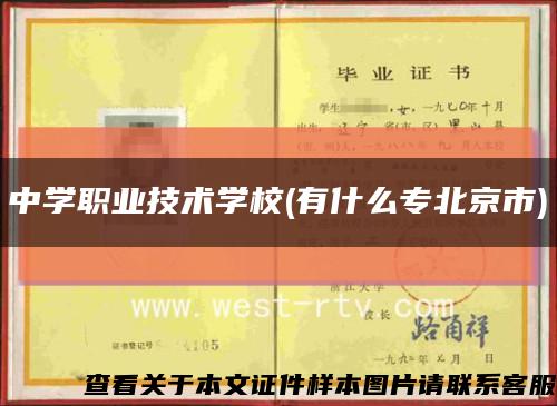 中學職業技術學校(有什么專北京市)縮略圖
