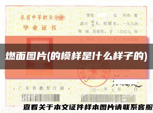 燃面圖片(的模樣是什么樣子的)縮略圖
