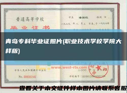 青島?？飘厴I證照片(職業技術學校學院大樣版)縮略圖