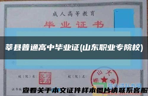 莘縣普通高中畢業證(山東職業專院校)縮略圖