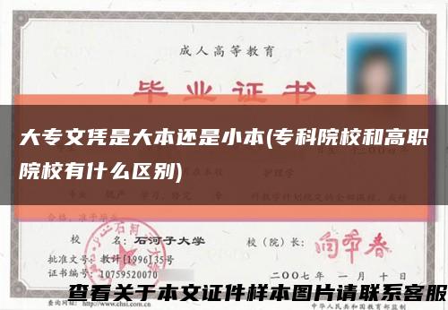 大專文憑是大本還是小本(?？圃盒：透呗氃盒Ｓ惺裁磪^別)縮略圖