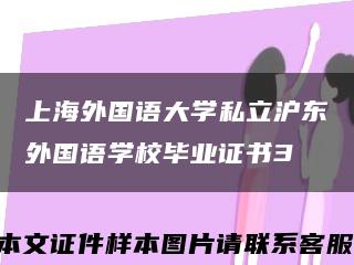 上海外國語大學私立滬東外國語學校畢業證書3縮略圖