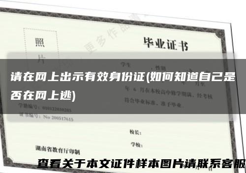 請在網上出示有效身份證(如何知道自己是否在網上逃)縮略圖