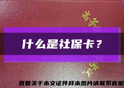 什么是社?？?？縮略圖