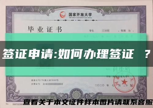 簽證申請:如何辦理簽證 ？縮略圖