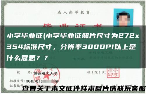 小學畢業證(小學畢業證照片尺寸為272x354標準尺寸，分辨率300DPI以上是什么意思？？縮略圖