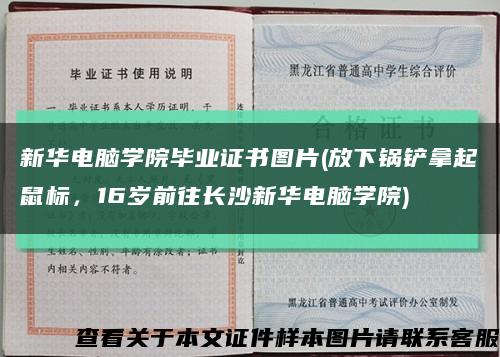 新華電腦學院畢業證書圖片(放下鍋鏟拿起鼠標，16歲前往長沙新華電腦學院)縮略圖