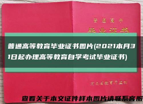 普通高等教育畢業證書圖片(2021本月31日起辦理高等教育自學考試畢業證書)縮略圖