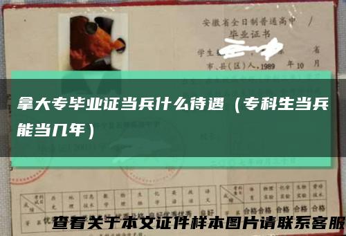 拿大專畢業證當兵什么待遇（?？粕敱墚攷啄辏┛s略圖