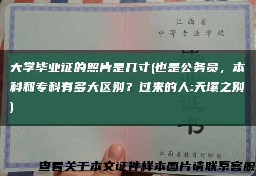 大學畢業證的照片是幾寸(也是公務員，本科和?？朴卸啻髤^別？過來的人:天壤之別)縮略圖