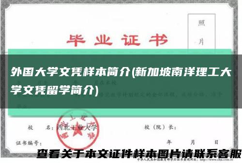 外國大學文憑樣本簡介(新加坡南洋理工大學文憑留學簡介)縮略圖