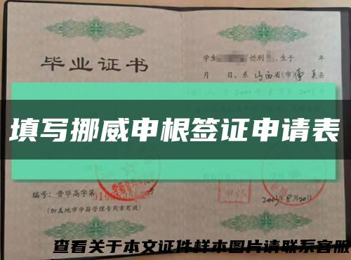 填寫挪威申根簽證申請表縮略圖