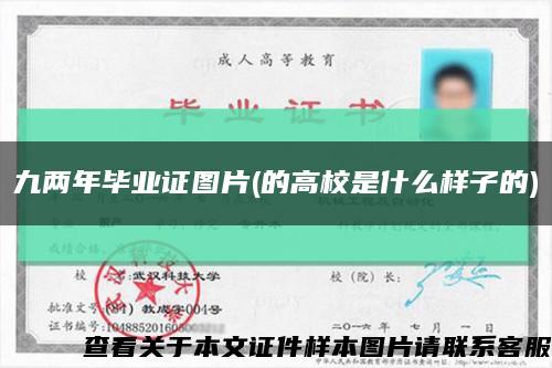 九兩年畢業證圖片(的高校是什么樣子的)縮略圖
