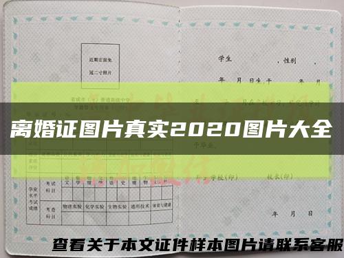 離婚證圖片真實2020圖片大全縮略圖