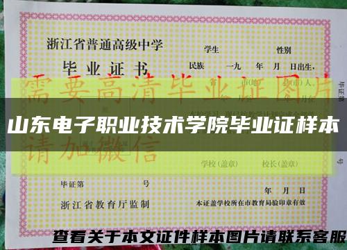 山東電子職業技術學院畢業證樣本縮略圖