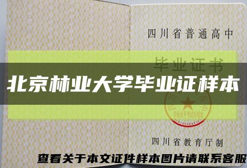 北京林業大學畢業證樣本縮略圖