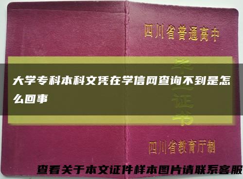 大學?？票究莆膽{在學信網查詢不到是怎么回事縮略圖