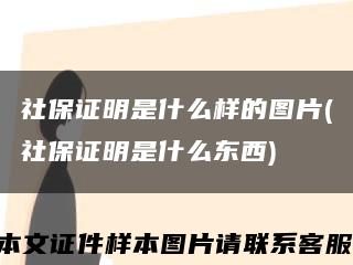 社保證明是什么樣的圖片(社保證明是什么東西)縮略圖