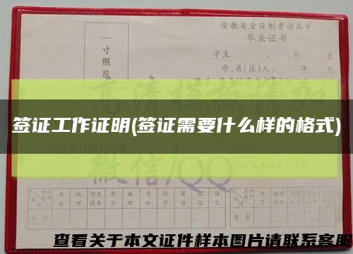 簽證工作證明(簽證需要什么樣的格式)縮略圖