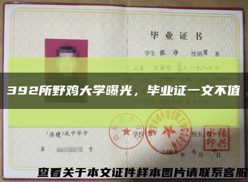 392所野雞大學曝光，畢業證一文不值縮略圖