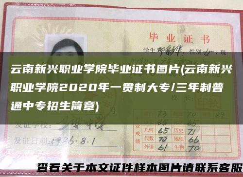 云南新興職業學院畢業證書圖片(云南新興職業學院2020年一貫制大專/三年制普通中專招生簡章)縮略圖
